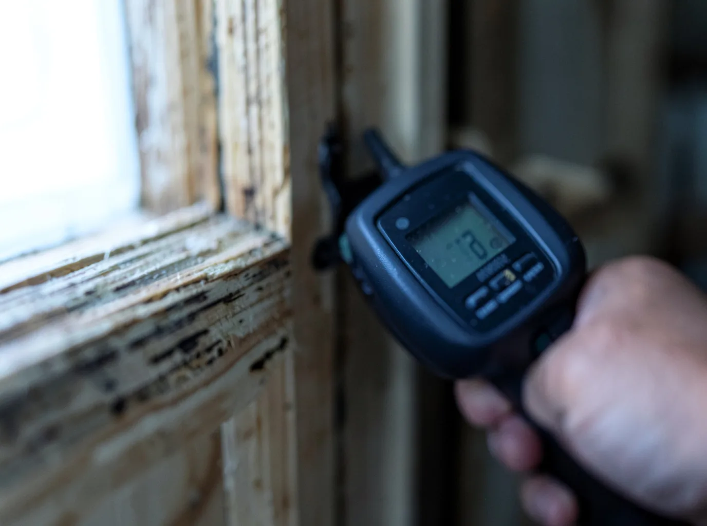 Moisture Inspection And Documentation in Darrow, LA